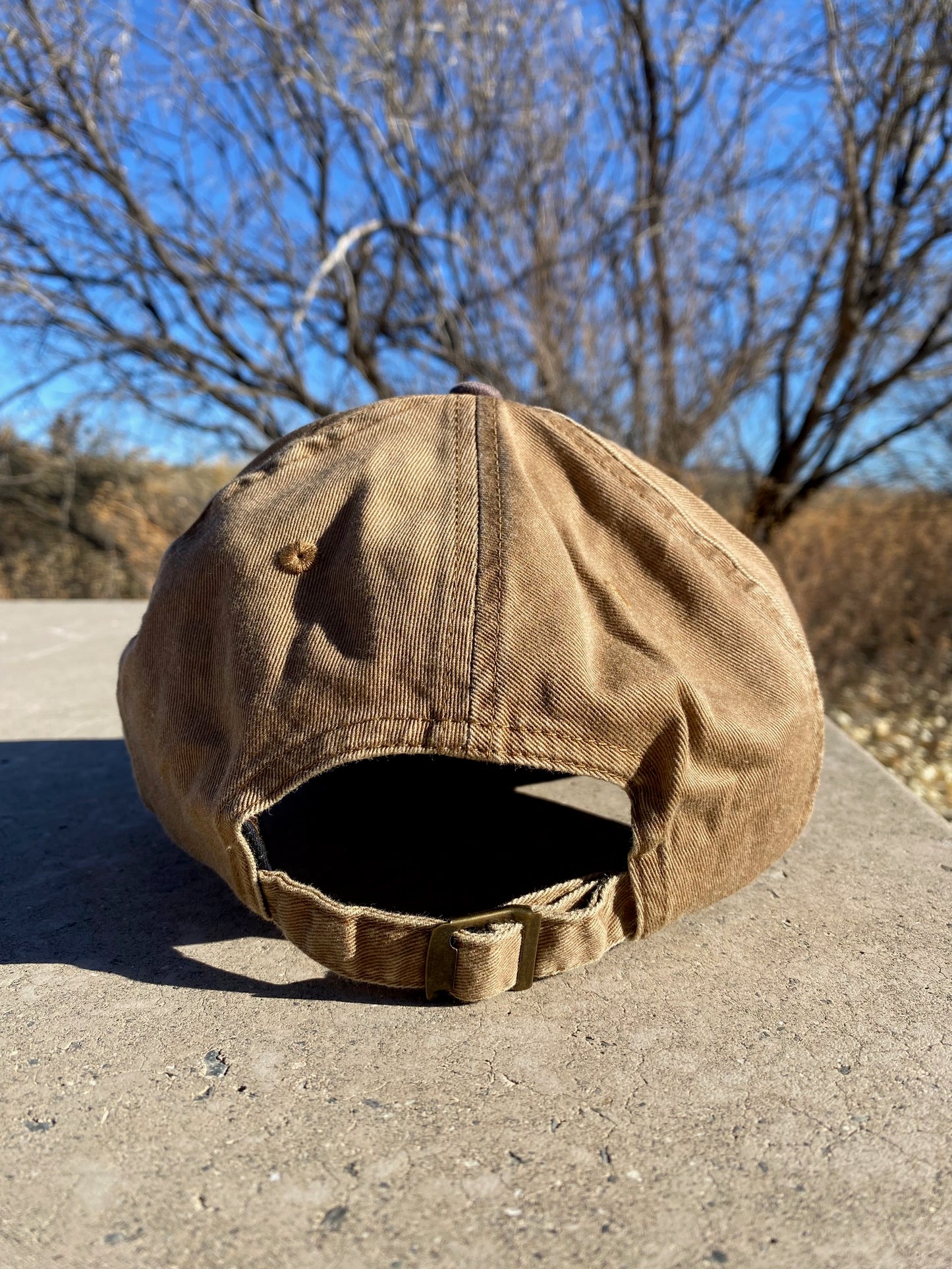 Baseball Hat Friends of the San Pedro River - Roadrunner